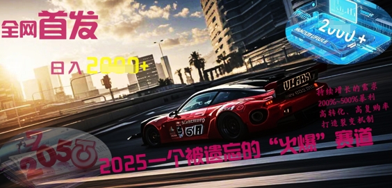 全网首发:2025一个被遗忘的“火爆”赛道轻松日入多张-瑞东轻创终点站