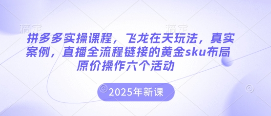 拼多多实操课程,飞龙在天玩法,真实案例,直播全流程链接的黄金sku布局原价操作六个活动-瑞东轻创终点站