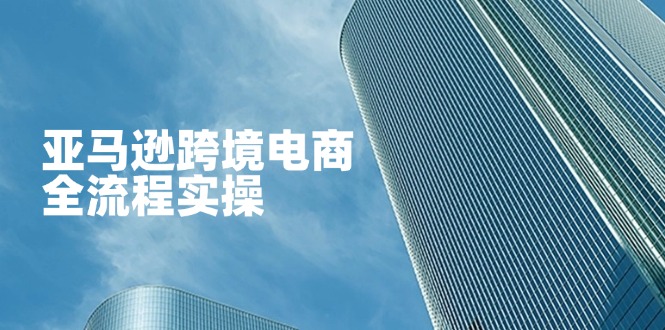 (14252期)亚马逊跨境电商全流程实操,教你从零开始,掌握店铺运营与广告技巧-瑞东轻创终点站