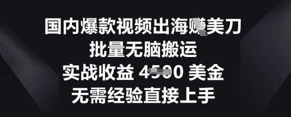国内爆款视频出海挣美刀,批量无脑搬运,实战收益4.5k,无需经验直接上手-瑞东轻创终点站