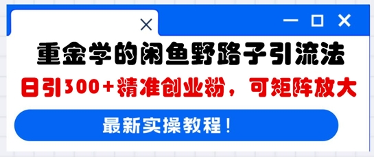 重金学的闲鱼野路子引流法,日引300+精准创业粉,可矩阵放大-瑞东轻创终点站