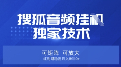 【搜狐音频挂G】独家技术,可矩阵可放大,红利期稳定月入8k【揭秘】-瑞东轻创终点站