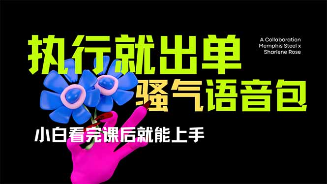(14170期)爆火全网的开车导航骚气语音包,只要执行就出单,小白看完课程就能实操...-瑞东轻创终点站